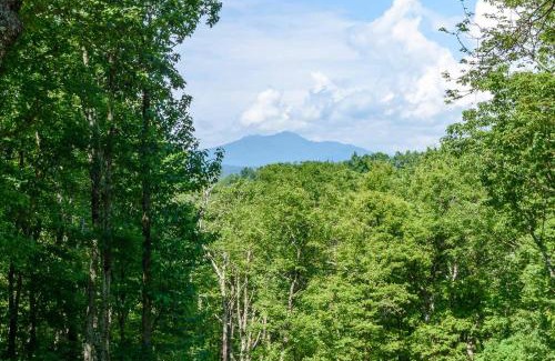 Panorama Estates House | Inviting Mountain Hideaway with Spa and Hot Tub Amenities