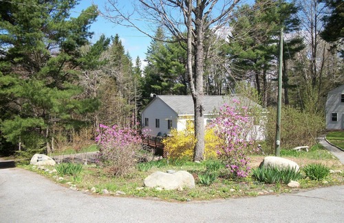 Town Hill House | Book Your 2023 Stay at Our Pet-Friendly Oceanfront Hotel