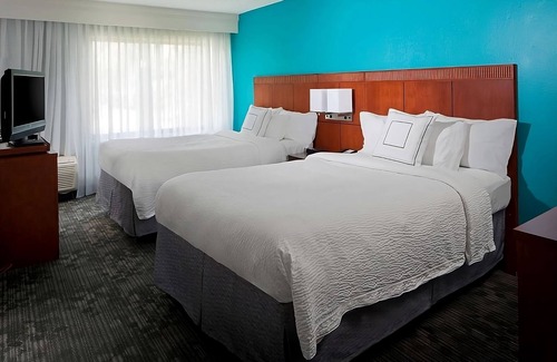 Boca Raton Resort | Create Unforgettable Memories with Pet-Friendly Amenities!