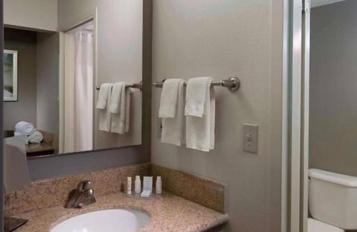 Boca Raton Resort | Create Unforgettable Memories with Pet-Friendly Amenities!