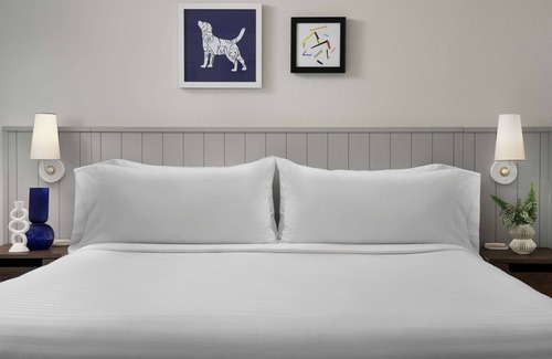 Streeterville Hotel | Create Amazing Memories with Free Breakfast & Pet Welcome!