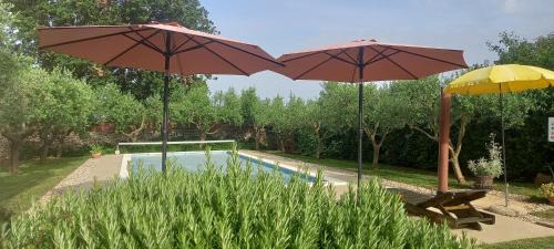 Liznjan House | Inviting Mala Kuća with Heated Pool and Ocean View