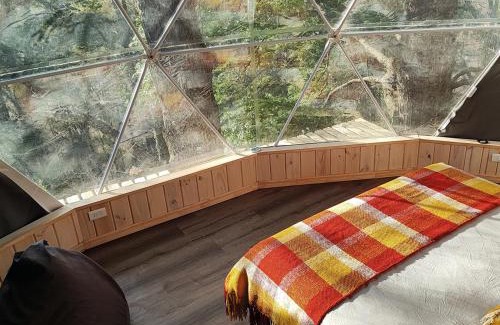 Malalcahuello Other | Eco-Friendly Escape at Malalcahuello Glamp - Rated 9.8/10