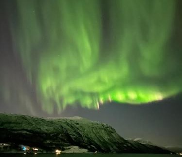 Skalsvik House | Explore Malangen Arctic Sealodge Cabin 10 with Ocean Views