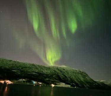 Skalsvik House | Explore Malangen Arctic Sealodge Cabin 10 with Ocean Views
