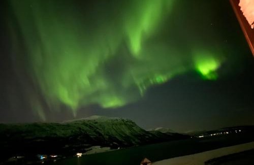 Skalsvik House | Explore Malangen Arctic Sealodge Cabin 10 with Ocean Views