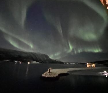 Skalsvik House | Explore Malangen Arctic Sealodge Cabin 10 with Ocean Views