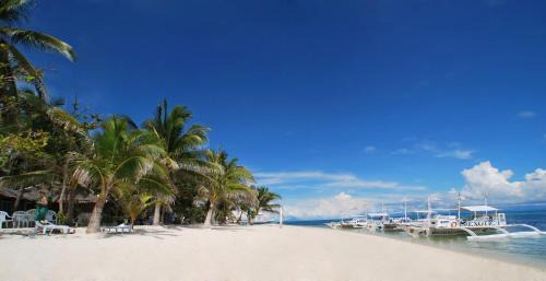Amambucale Resort | Exotic Island Dive Resort in Malapascua with Beachfront Bliss