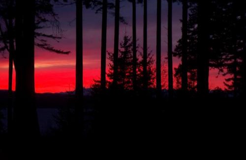 Powell River House | Seaside Retreat at Malaspina Strait Cottage – Guest Rated 9.8
