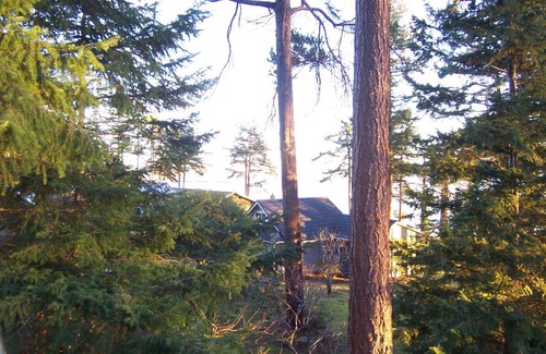 Powell River House | Seaside Retreat at Malaspina Strait Cottage – Guest Rated 9.8