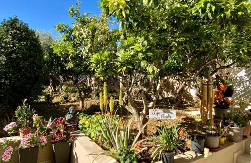 Mosta Bed & Breakfast | Relax at Maltese Garden Villa: Top-Rated Family Getaway