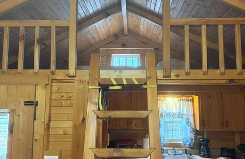 Mammoth Cave Cabin | Mammoth Cave Cabin, Hot Tub, professionally designed 18 hole disc golf course