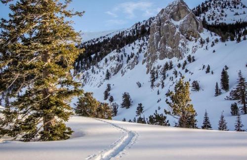 Mammoth Lakes Apartment | Family-Friendly Mammoth View Villas with Relaxing Hot Tub