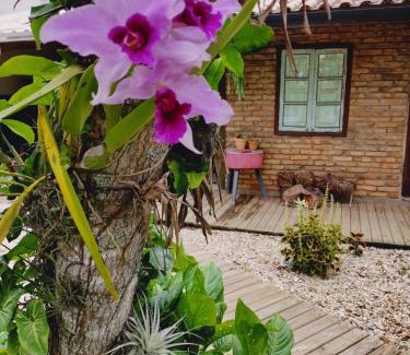 Mariscal Apartment | Experience Maná Mariscal: Rated 10/10 with Oceanfront Pool