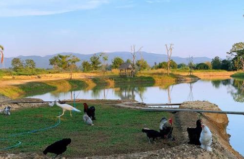 Mae Rim Apartment | Relax at Mana-An Lake Hill Resort with Pool & Family Fun