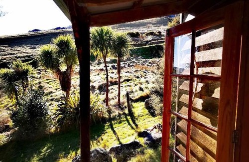 Christchurch District Other | Rustic Retreat Bush Cabin with Hot Tub & Kitchen Amenities