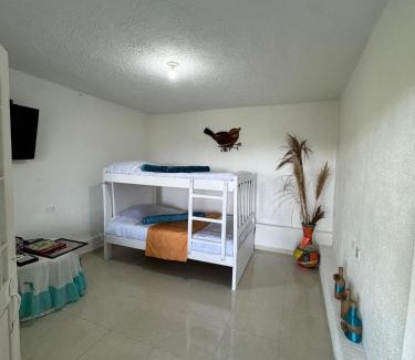 Ibague House | Manaju - Finca Campestre y Glamping