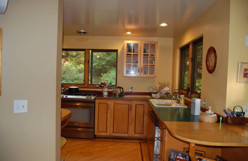 Shelburne House | Experience Manapouri Pond House with a Fully-Equipped Kitchen