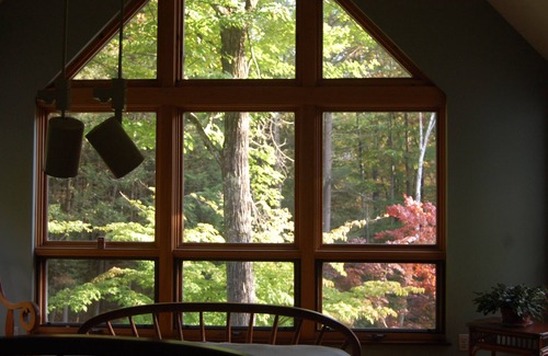 Shelburne House | Experience Manapouri Pond House with a Fully-Equipped Kitchen