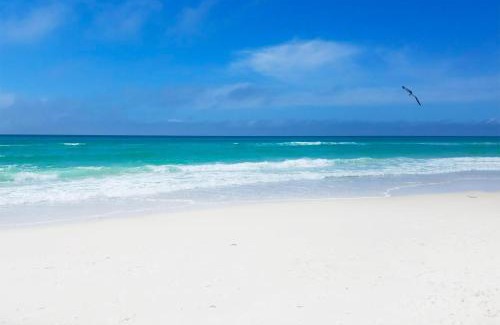 El Centro Beach House | Pet-Friendly Retreat at Manatee Summer House Awaits You