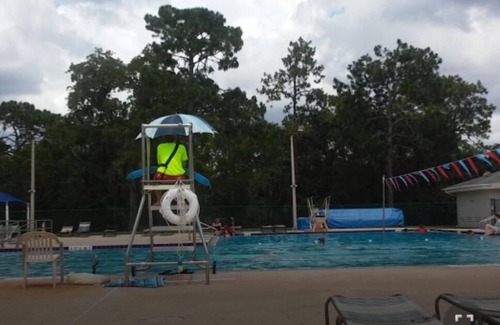 Crystal River House | Pet-Friendly Manatee Watch Den with Pool & Spa Access