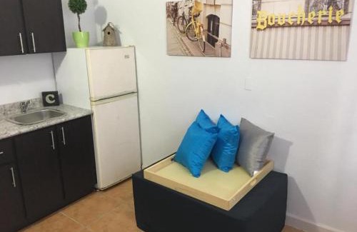 Manati House | Oceanfront Manati Amazing Studio with Pet-Friendly Perks