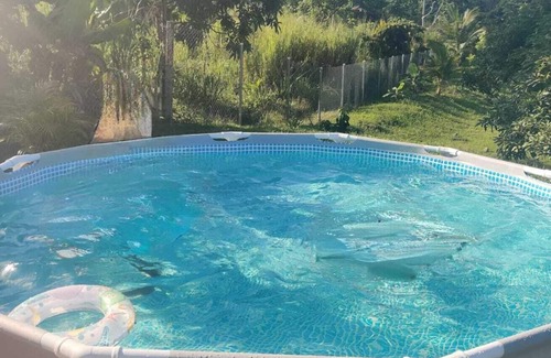 Toco Condo | Unforgettable Stays at Mandarin Housing with Pool & Pet-Friendly