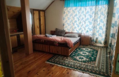 Keylong House | Experience Comfort at Manepa Homestay Kardang