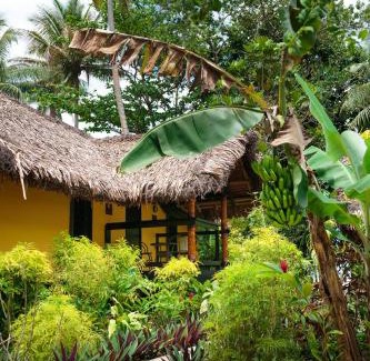 Namatakula Resort | Discover Mango Bay Resort: Oceanfront Relaxation Awaits