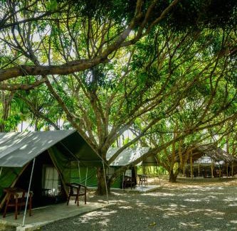 Udawalawa House | Mango Safari Camping Udawalawe