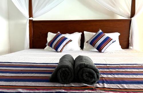 Mirissa House | Kid-Friendly Getaway at Mango Tree House Mirissa