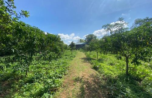 Pahala Maragahawewa Other | Charming Mango Villa Wilpattu: Pet-Friendly Stay with Breakfast