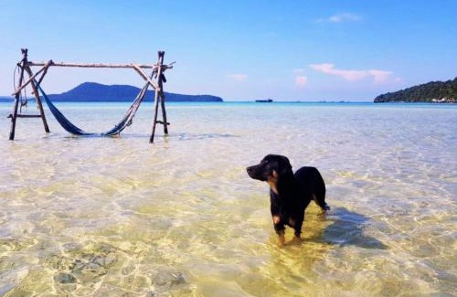 Koh Rong Sanloem Cabin | Cozy Mangrove Beach Bungalows with Oceanfront Views