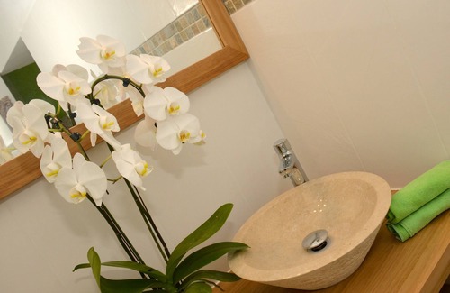 La Saline Les Bains Bed & Breakfast | Garden View Manguier Room - Rated 10/10 with Pool Access