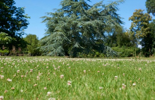 Saint-Quay-Perros House | Discover Manoir des petites bretonnes: Rated 9/10 Stay
