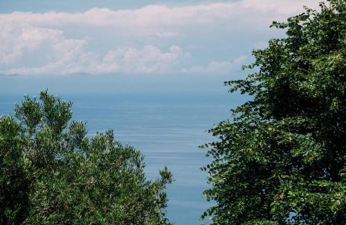 Mouresi Apartment | Discover Manolies: Guest Rated 9.7, Pet and Child Friendly