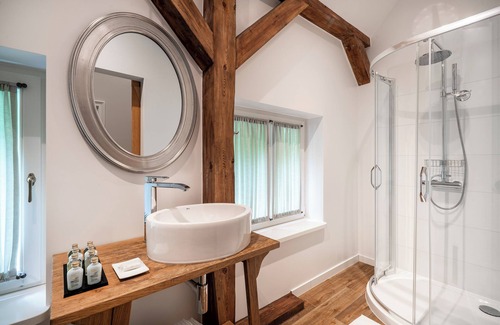 Nowe Warpno Bed & Breakfast | Discover Manowce Palace: Double/Twin Room with Garden View