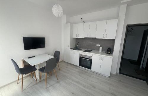 Timisoara Apartment | Comfortable Mansarde Confort: Family-Friendly Escape Awaits