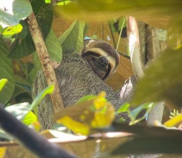 Manuel Antonio Apartment | Manuel Antonio Beach VON HOUSE