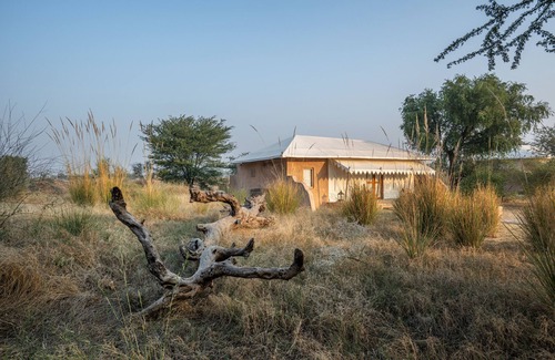 Shergarh Resort | Discover MANVĀR Kumat Thar Serenity Camp with Pool & Breakfast