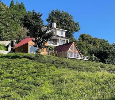 Cayeli Villa | Manzara dağevi