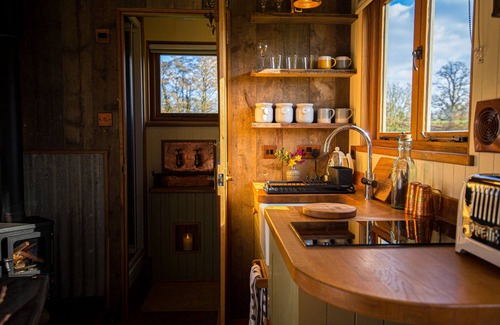 Trusham Cabin | Discover Maple: Family-Friendly Little Ash Shepherd's Hut