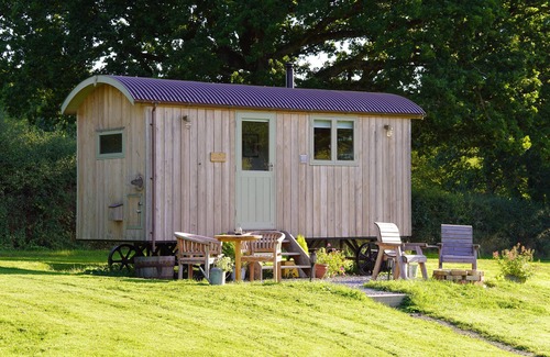 Trusham Cabin | Discover Maple: Family-Friendly Little Ash Shepherd's Hut