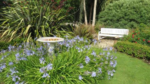 Harewood Bed & Breakfast | Pet-Friendly Maples on Harewood: 4-Star Stay with Pool