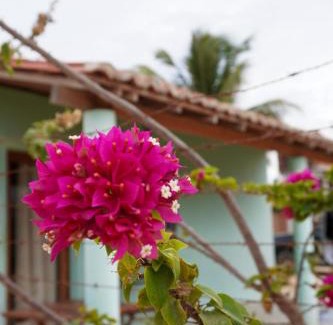 Barroquinha Cabin | Oceanfront Bliss at Mar Aberto: Pet Friendly Getaway