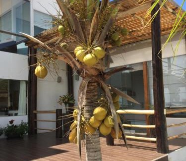 Las Pocitas House | Oceanfront Retreat at Mar de Mancora Playa Las Pocitas