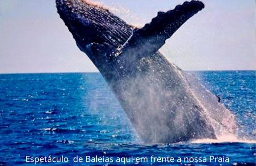 Campeche Sul House | Cozy Pousada Maresol: Oceanfront Getaway by Campeche