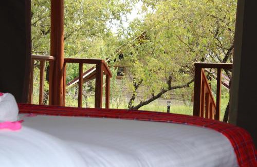 Maasai Mara Hotel | Delightful Mara Empiris Safari Camp with Breakfast Included