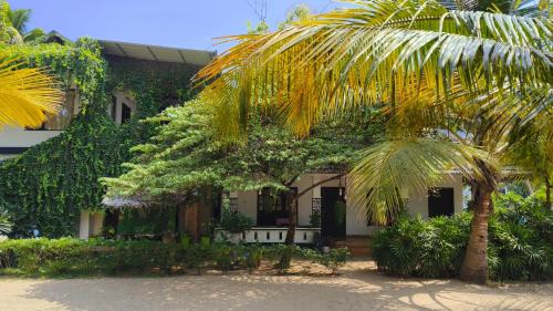 Mararikulam House | Experience Marari Blue Waves: Ocean View & Private Beach
