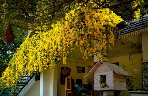 Mararikulam House | Experience Marari Blue Waves: Ocean View & Private Beach